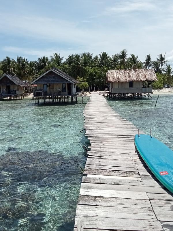 Barefoot Basecamp from jetty